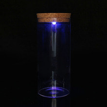 마리모 키우기 LED 유리병 수경식물키우기
