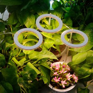 엔젤링 화분 LED 식물등(3헤드) (웜색) 생장 식물조명