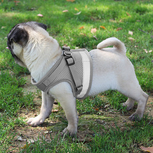세이프 빛반사 강아지 하네스+리드줄(XL) 산책가슴줄