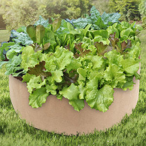 초록가든 베란다 텃밭 부직포 화분 야채 모종화분